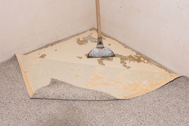 Carpet Removal Service in Sacramento, CA